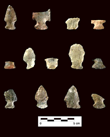 Projectile points from Orica Site