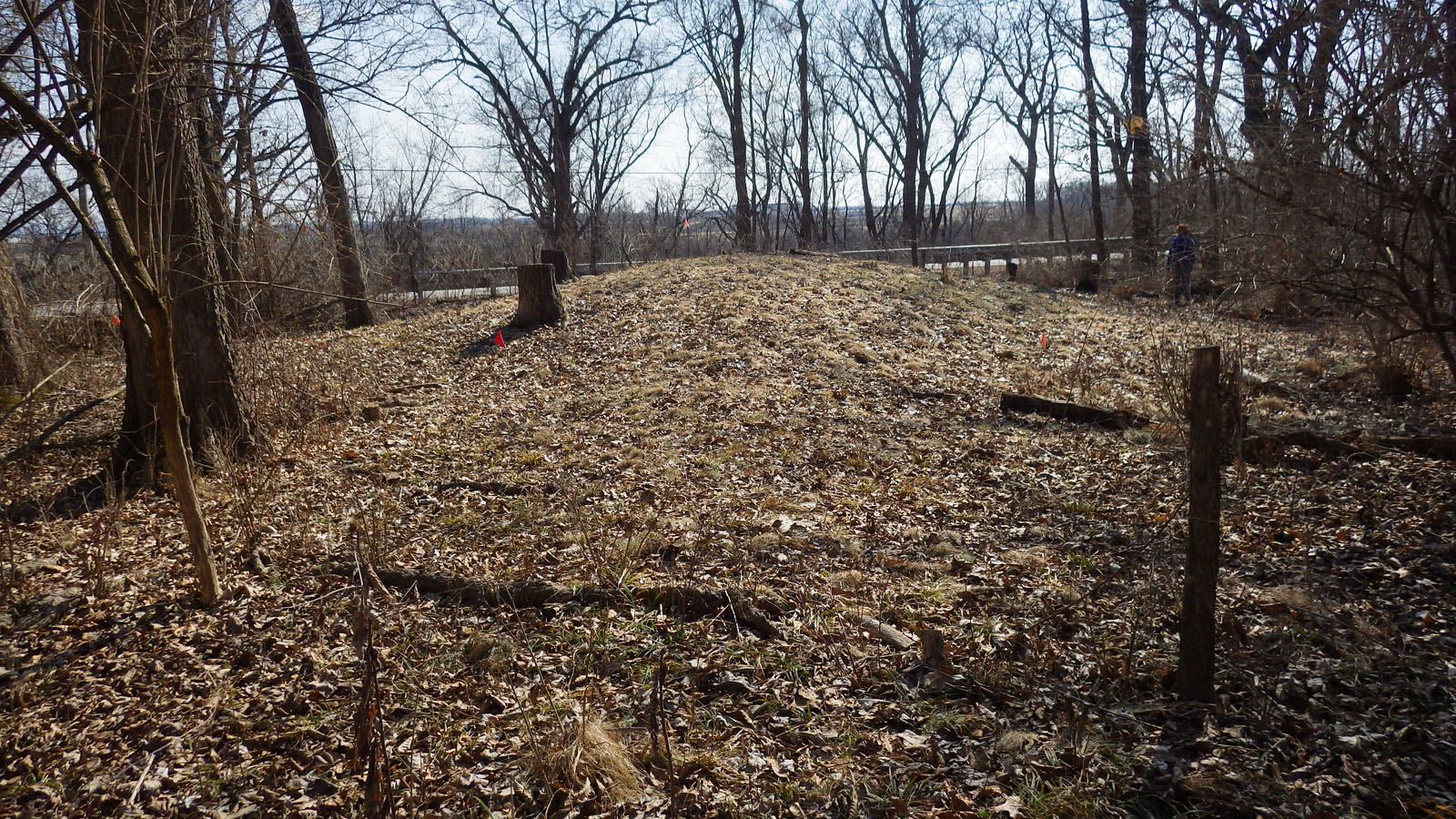 11WO3 panther mound looking SE to IL Rte 2 and Rock River