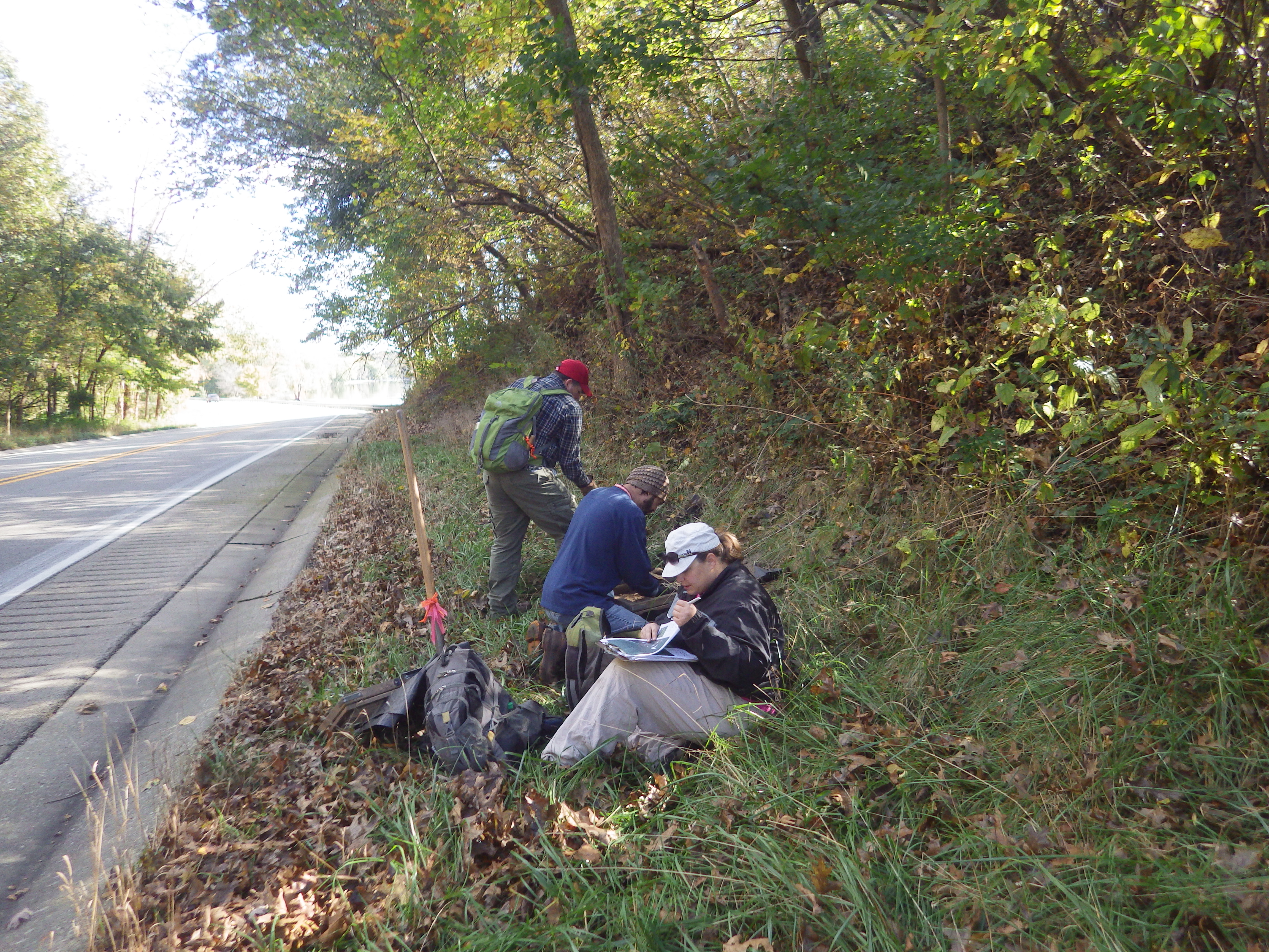NIFS field crew working along IL Route 2