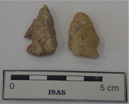 Early Archaic Thebes Point (left) and Middle Archaic Raddatz Point (right) recovered from 11WI662 Early Archaic Thebes Point (left) and Middle Archaic Raddatz Point (right) recovered from 11WI662