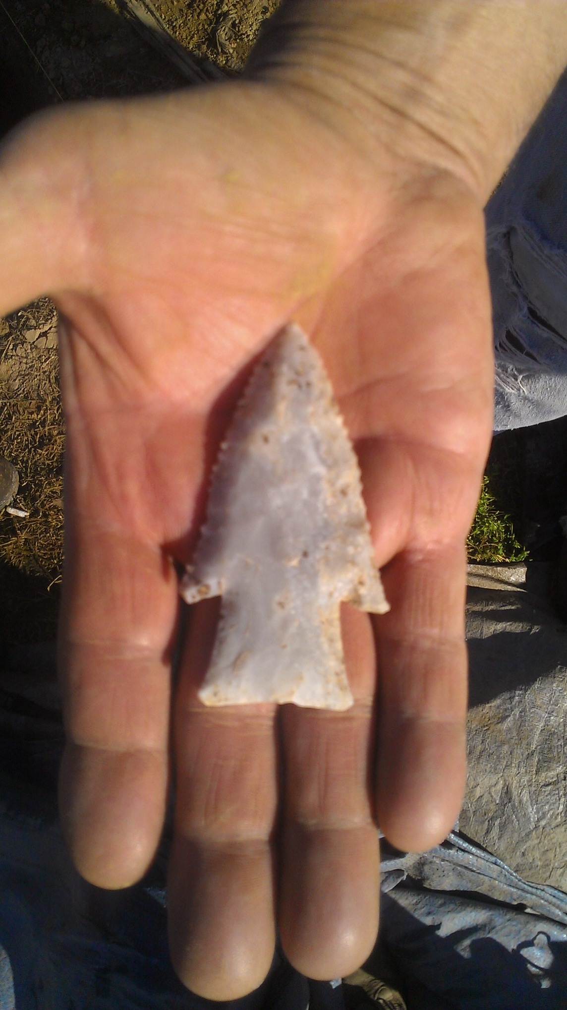 Hardin Barbed point
