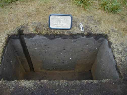 Profile from Hand-Excavated Unit – Coon Run VII site 
