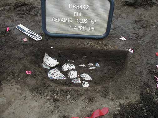 Ceramic cluster at the Horseshoe Pond site
