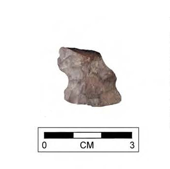 Matanzas Point Found at the Van Fleet Site