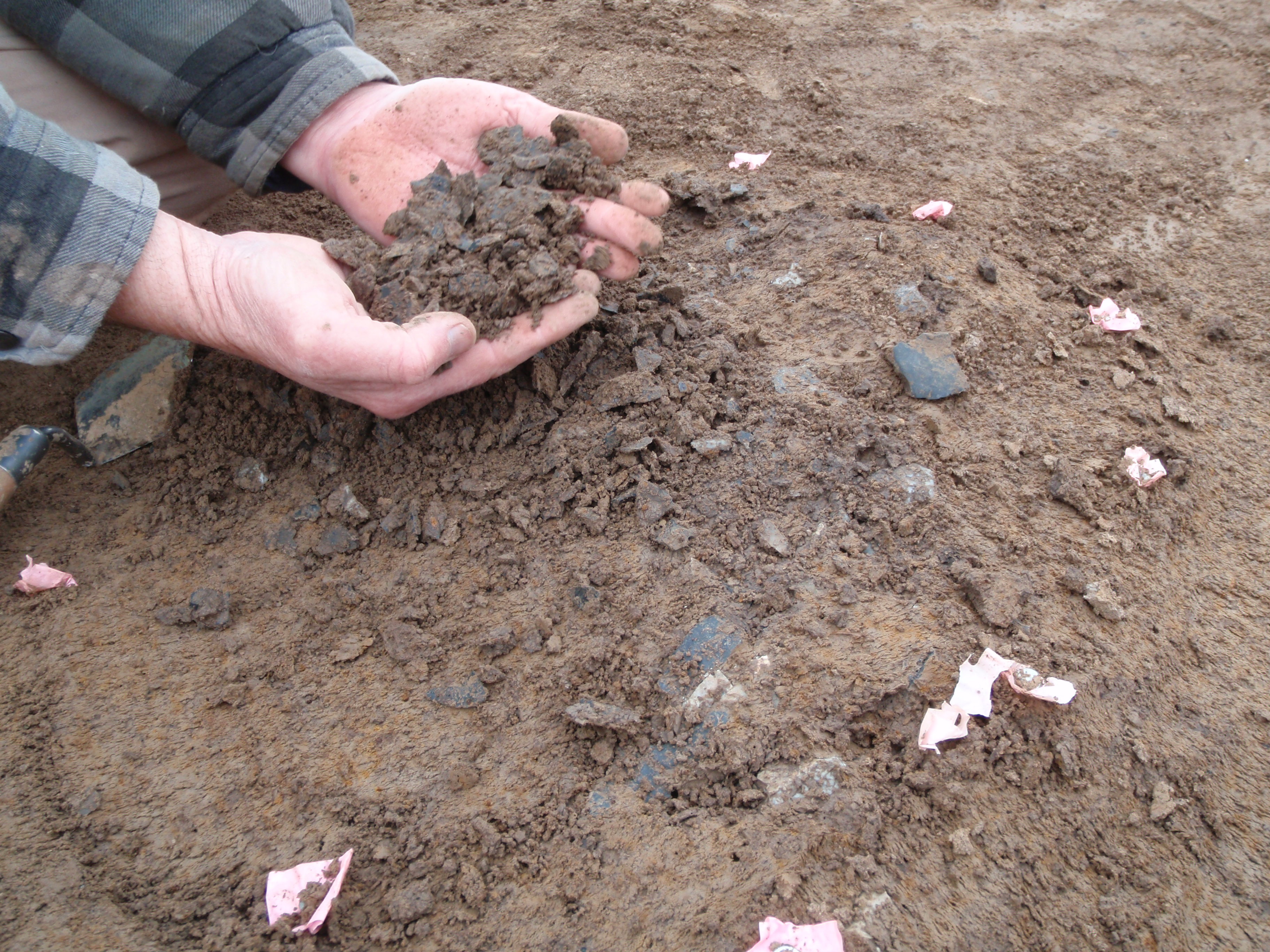 Moline Chert Debris