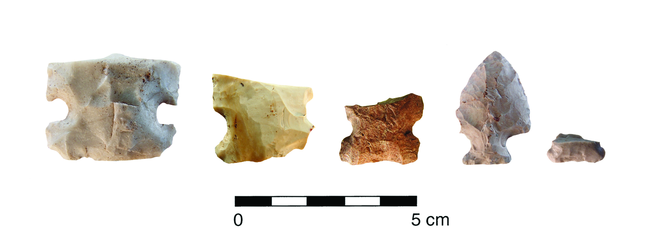 Selected Projectile Points from QCIA