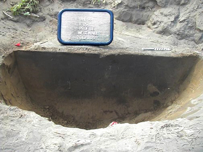 Profile of F25 at the Shorten site