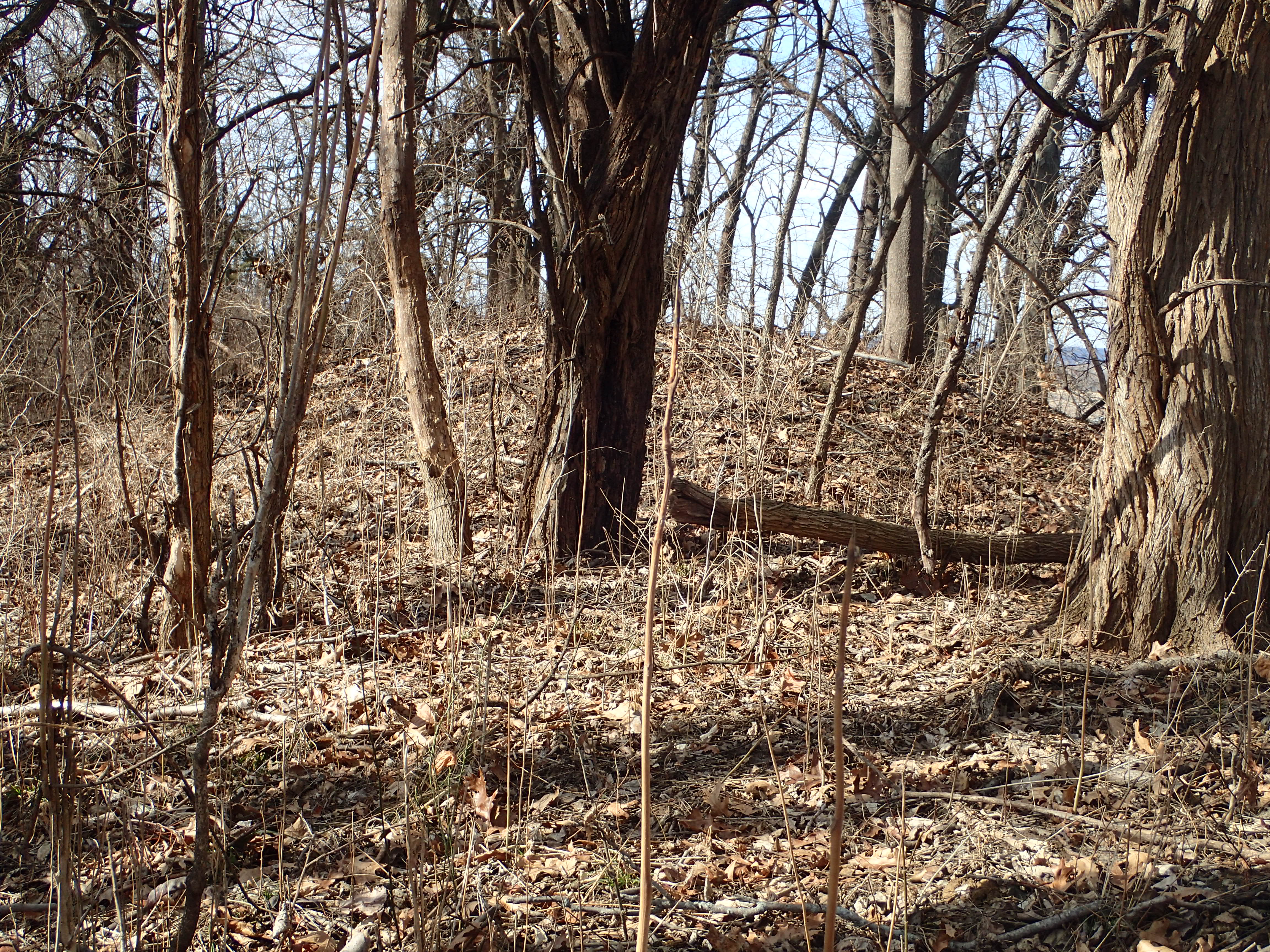 Mound Survey (US 34)