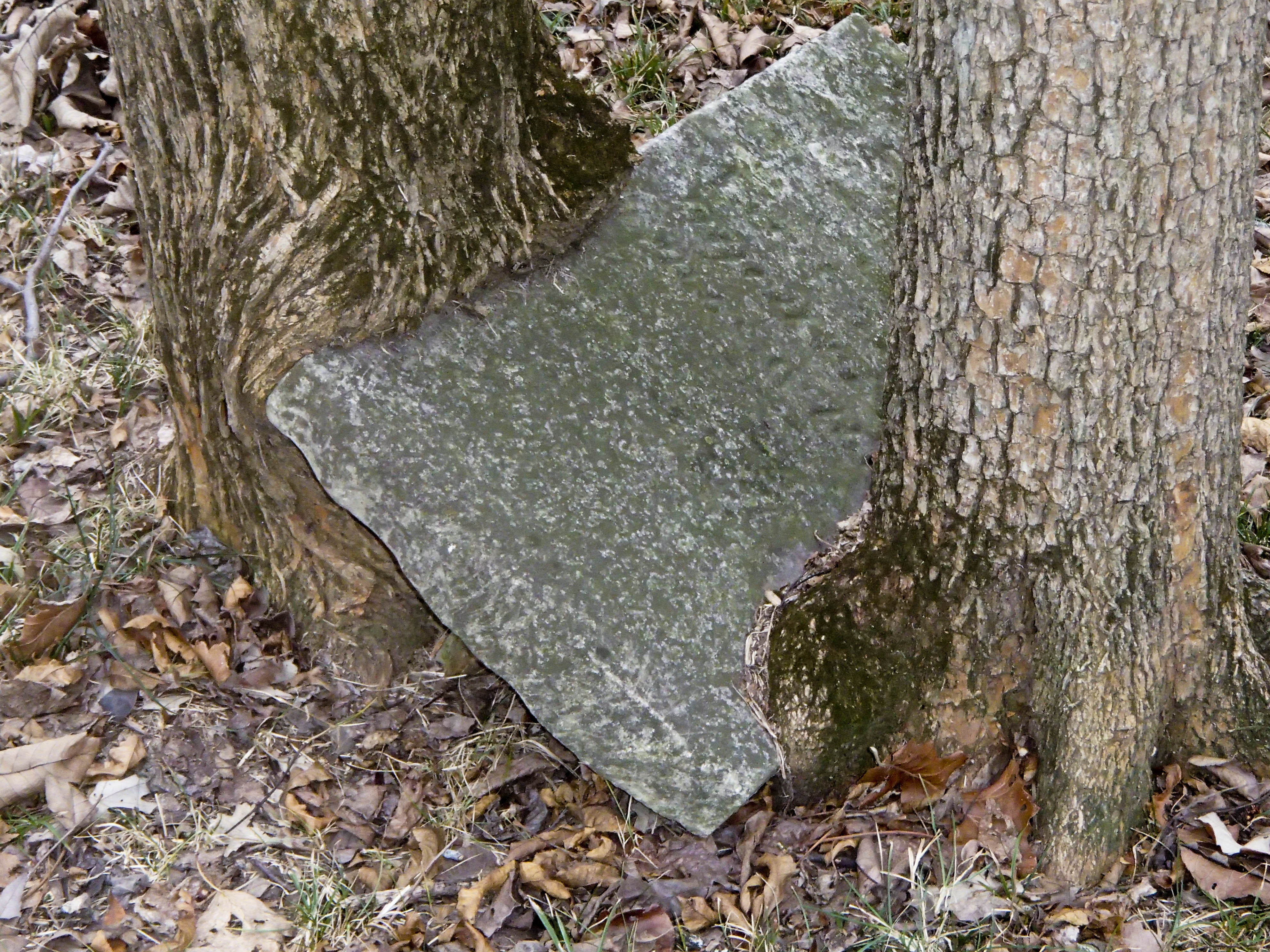 Kemp Cemetery