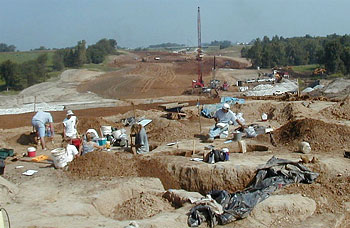 Excavations at the Buffalo Chip site