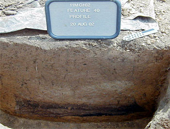 Profile of F40 at the Buffalo Chip site