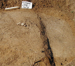Plan view of F12 at the Janice Cook site