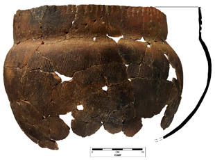 Cordmarked vessel from the Ed Walch site