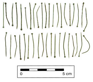 Brass pins from the Stafford site