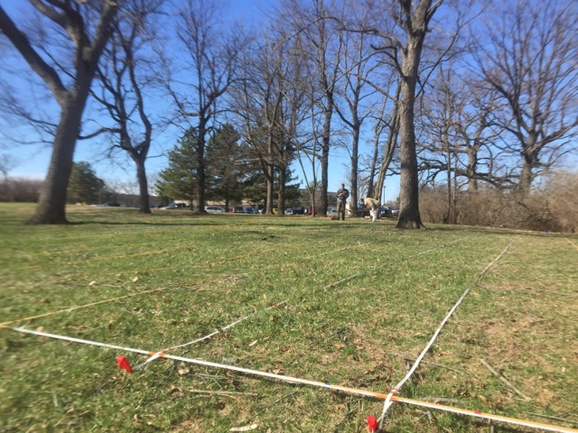 Geophys at cemetery Geophys at cemetery