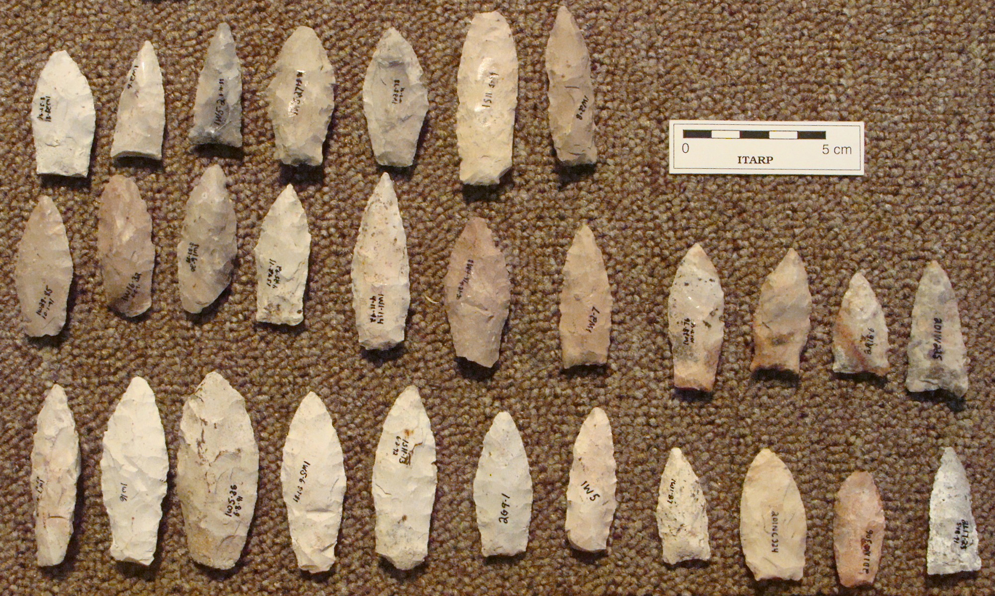 Misc. Late Archaic points