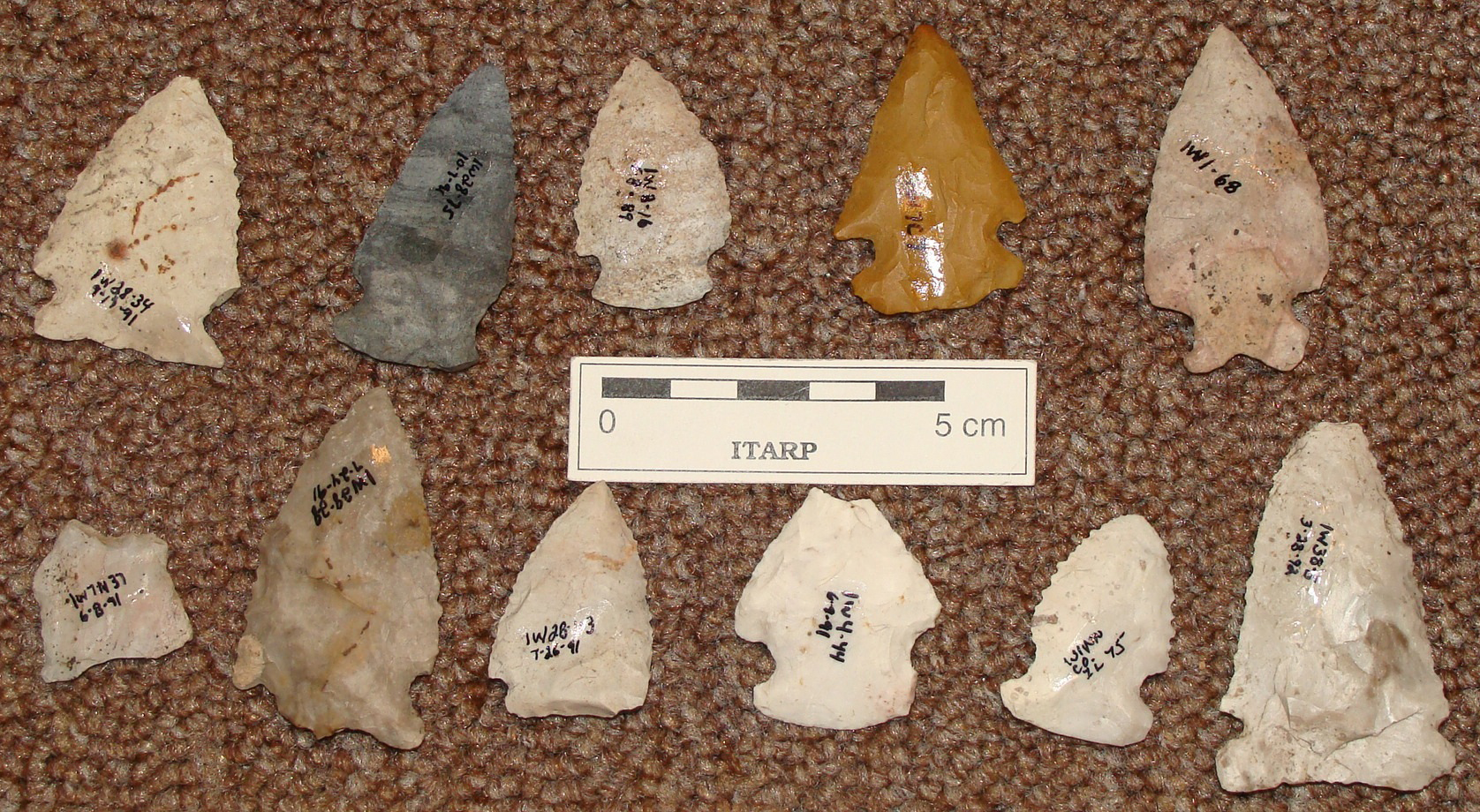 Early-Mid Archaic points