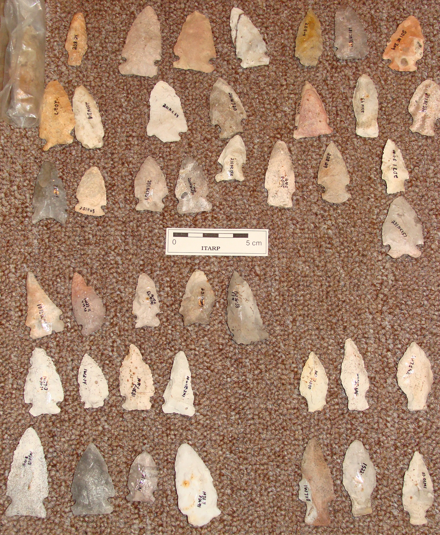 Mid-Late Archaic points