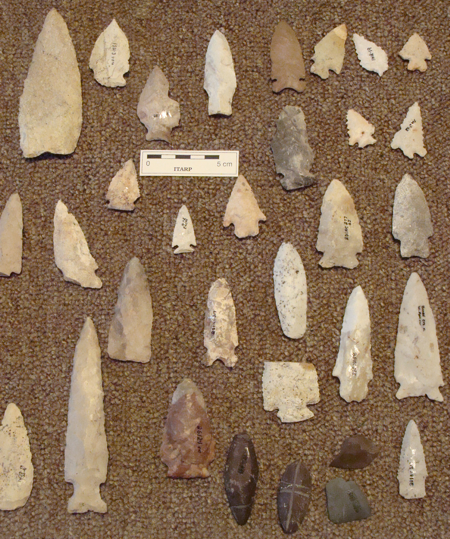 Early Mid-Archaic Projectile points