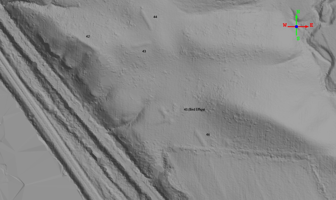 lidar image of landscape