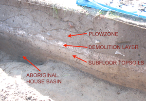 The complex soil stratigraphy beneath the French structure at the Duckhouse site The complex soil stratigraphy beneath the French structure at the Duckhouse site