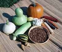 Squash, beans, corn Squash, beans, corn