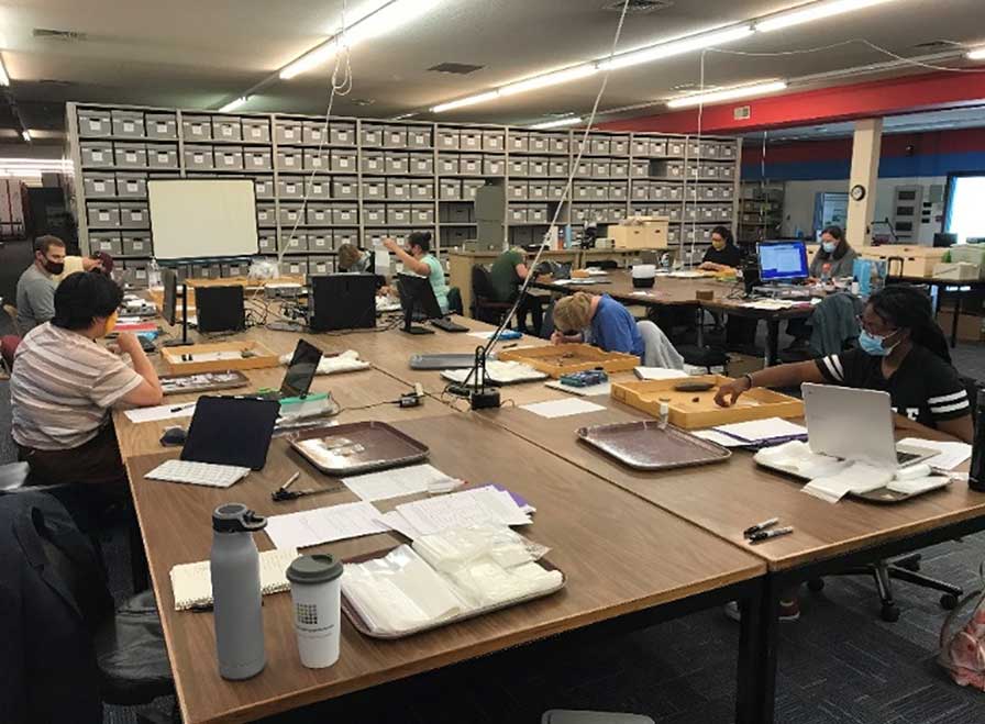 students in curation course