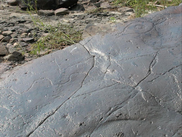 closeup view of map etched on boulder